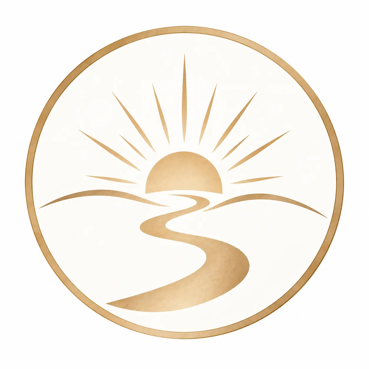Experiencia ico