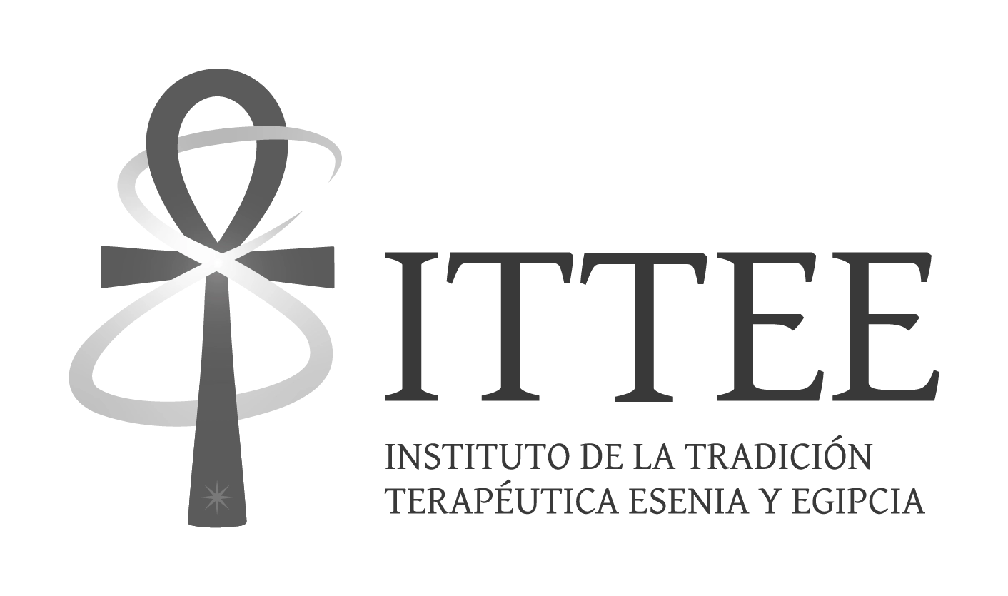 ITTEE_logotipo_BN